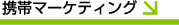 �g�у}�[�P�e�B���O